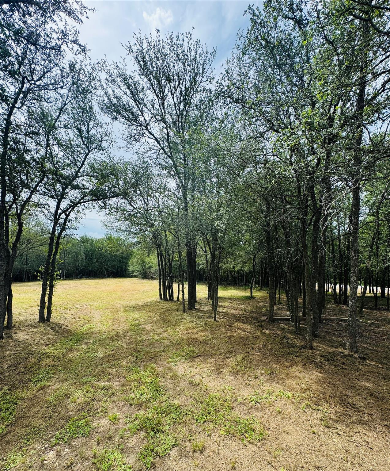 146 Crooked Hollow Rd, Elgin, TX 78621