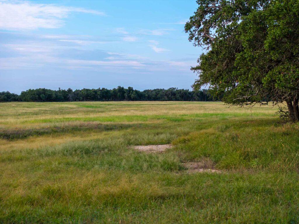 TBD Mount Sharp Rd, Wimberley, TX 78676