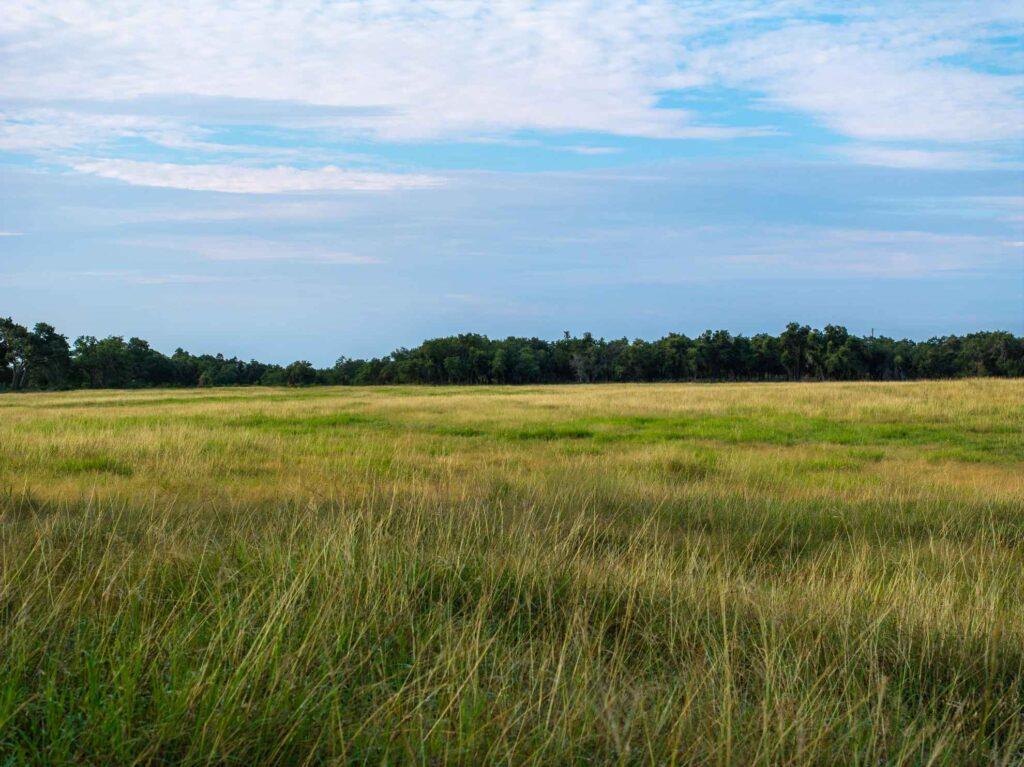 TBD Mount Sharp Rd, Wimberley, TX 78676