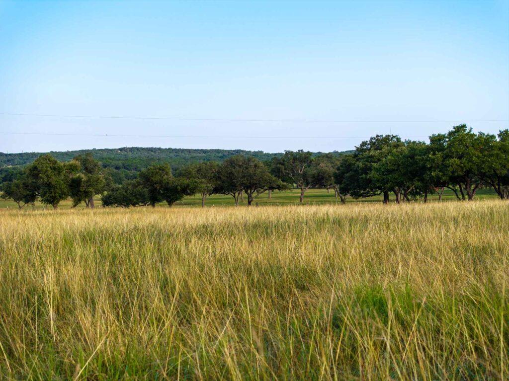 TBD Mount Sharp Rd, Wimberley, TX 78676