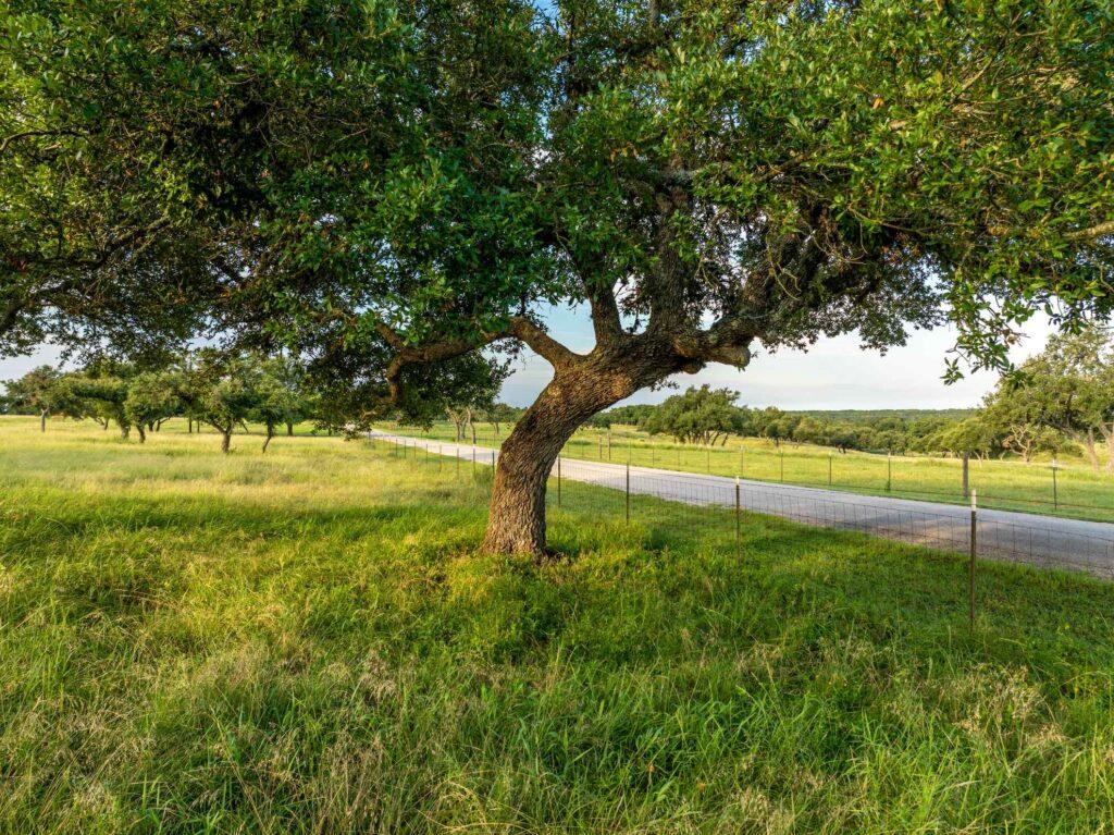 TBD Mount Sharp Rd, Wimberley, TX 78676