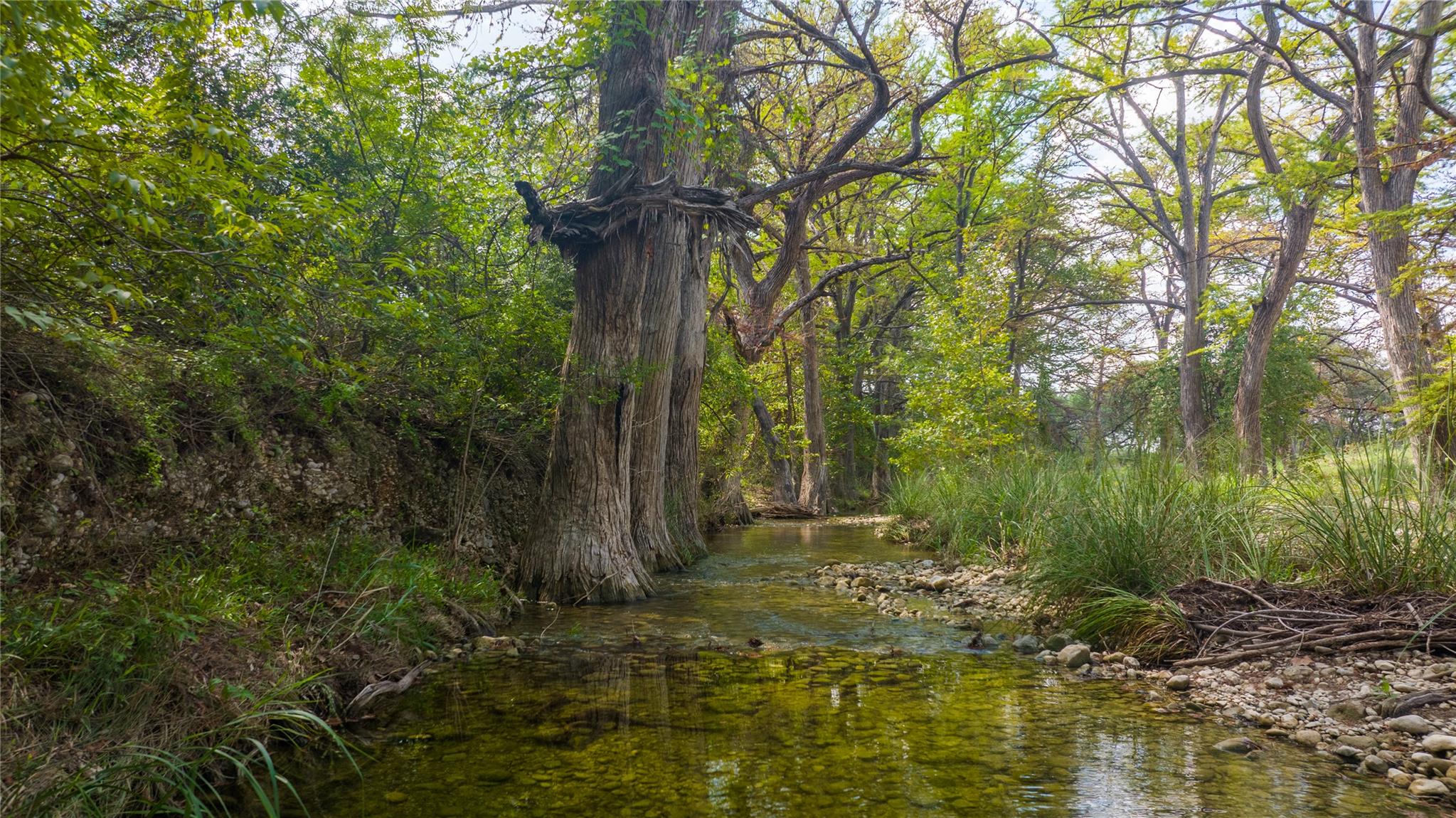 Utopia, TX 78885
