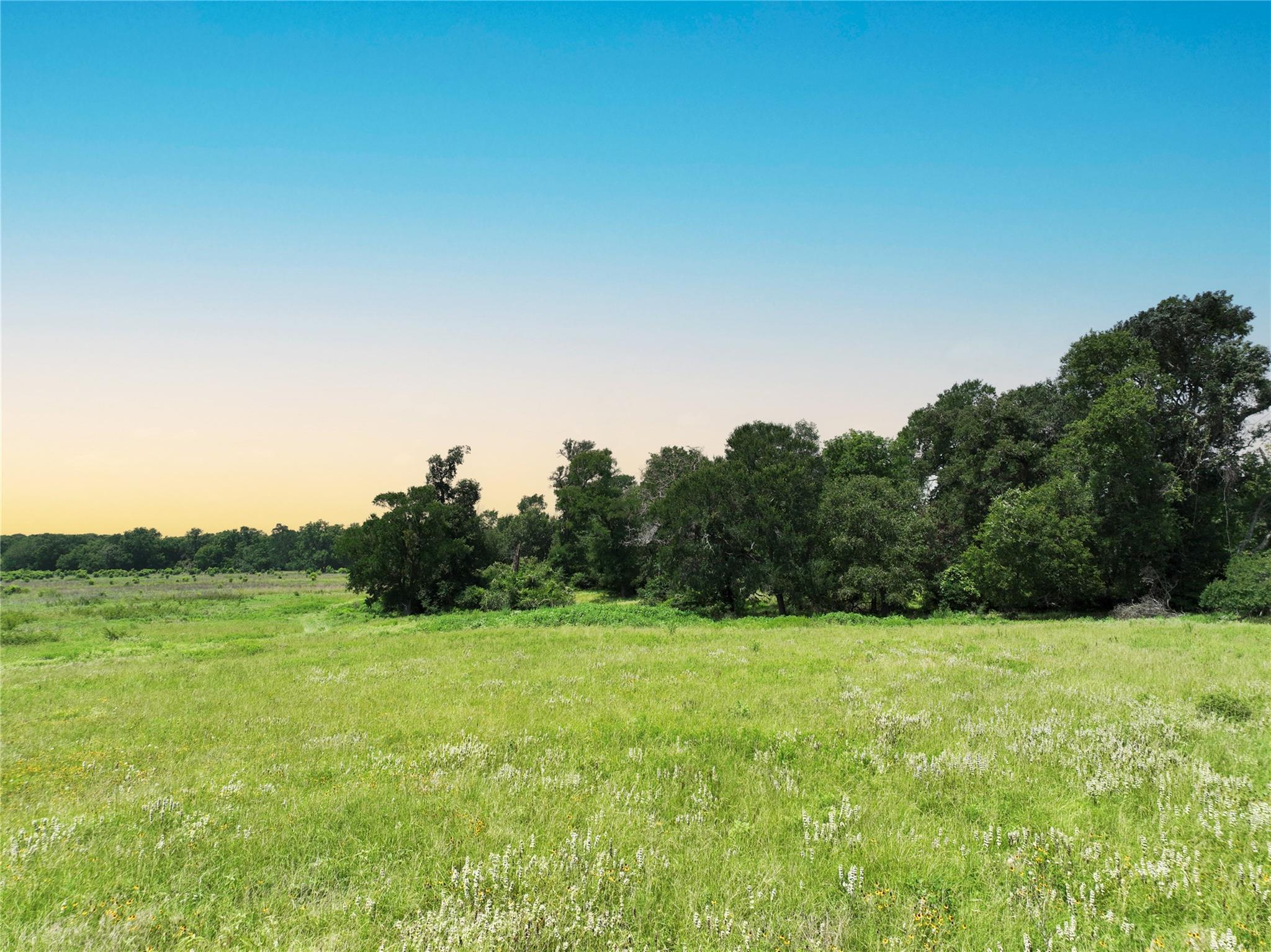 0000 FM 2749, Thornton, TX 76687