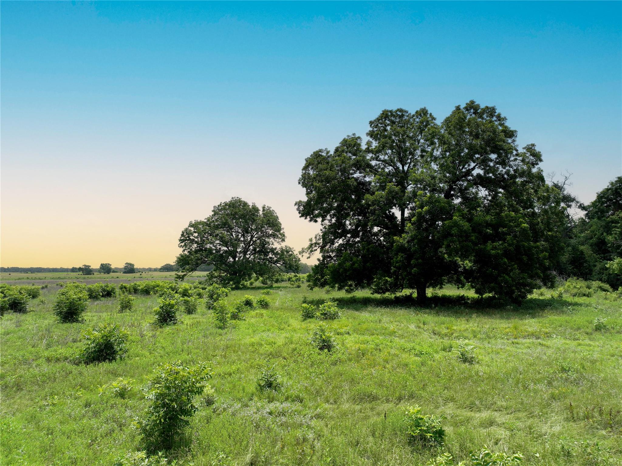 0000 FM 2749, Thornton, TX 76687