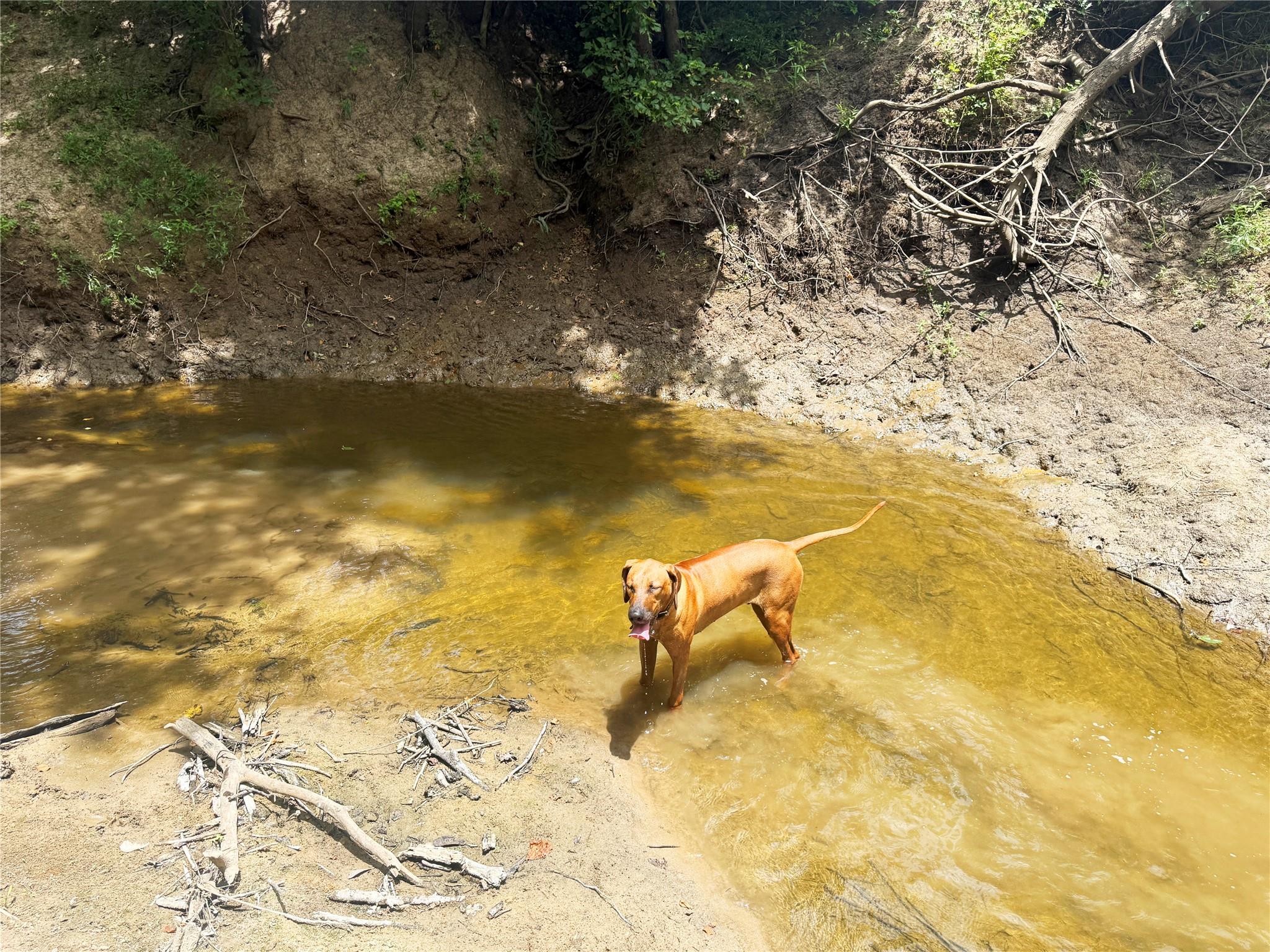 0000 FM 2749, Thornton, TX 76687