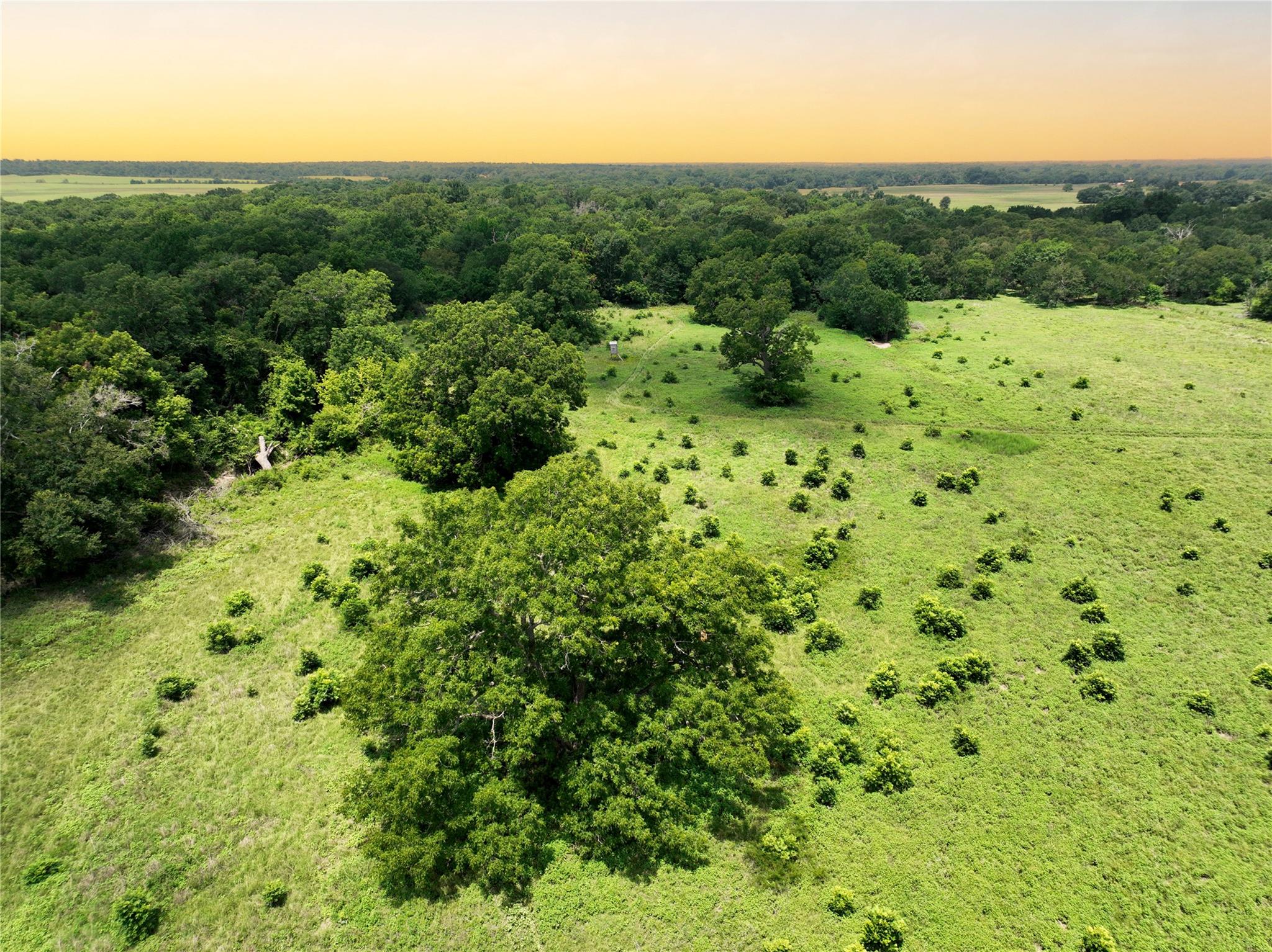 0000 FM 2749, Thornton, TX 76687