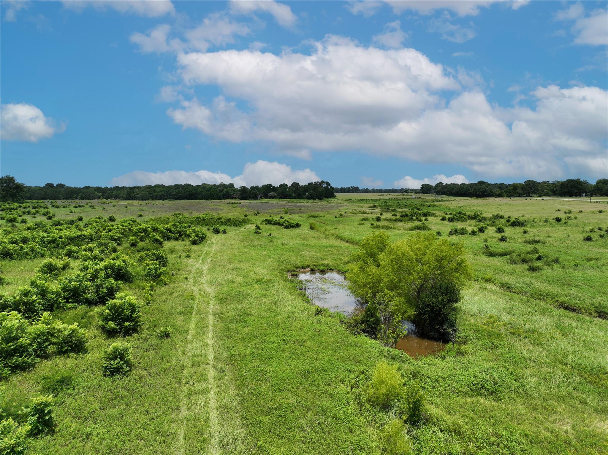 0000 FM 2749, Thornton, TX 76687