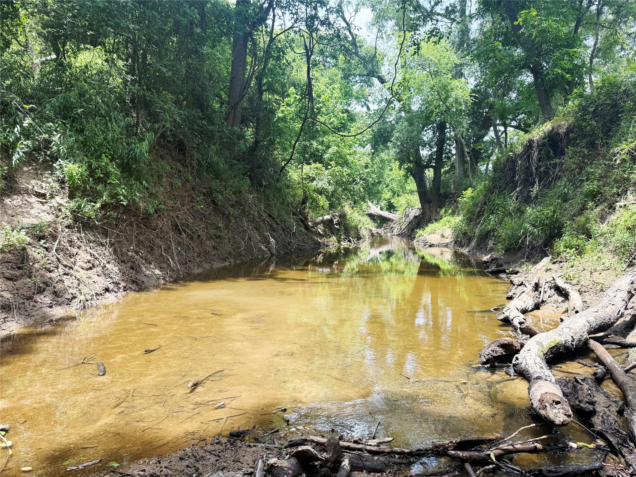 0000 FM 2749, Thornton, TX 76687