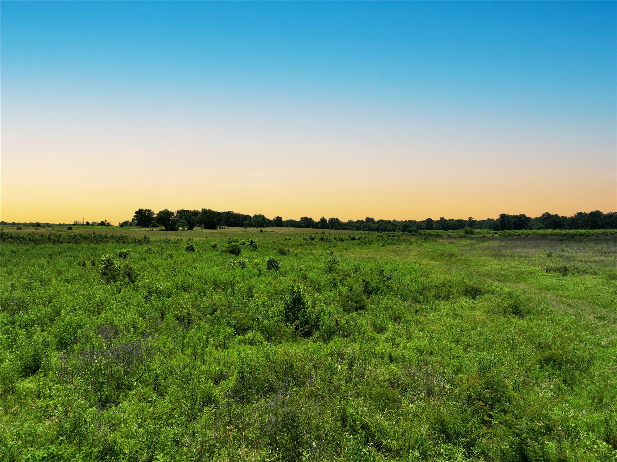 0000 FM 2749, Thornton, TX 76687