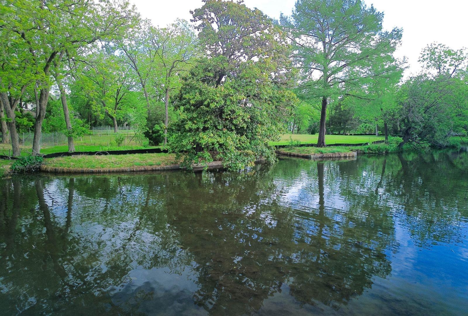 4703 Laguna Ln, Austin, TX 78746