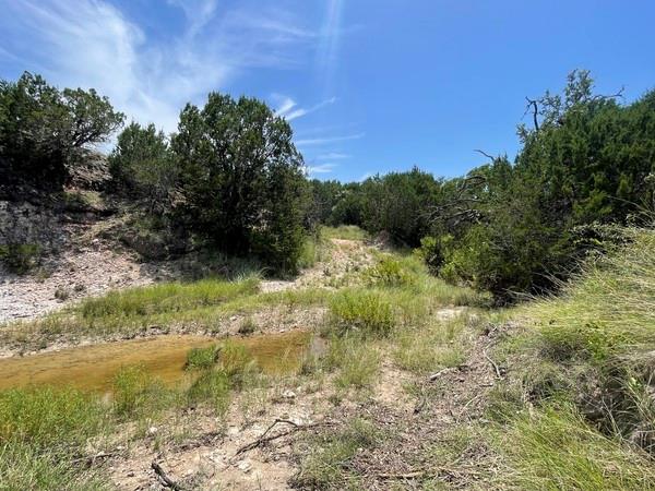 221 W Rolling Oaks Dr, Goldthwaite, TX 76844