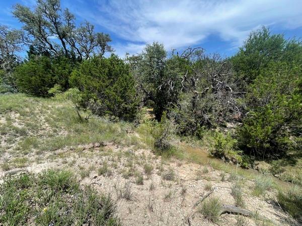 221 W Rolling Oaks Dr, Goldthwaite, TX 76844