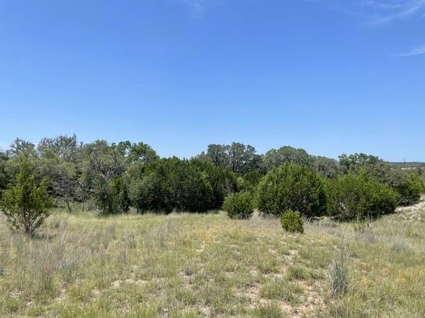 221 W Rolling Oaks Dr, Goldthwaite, TX 76844