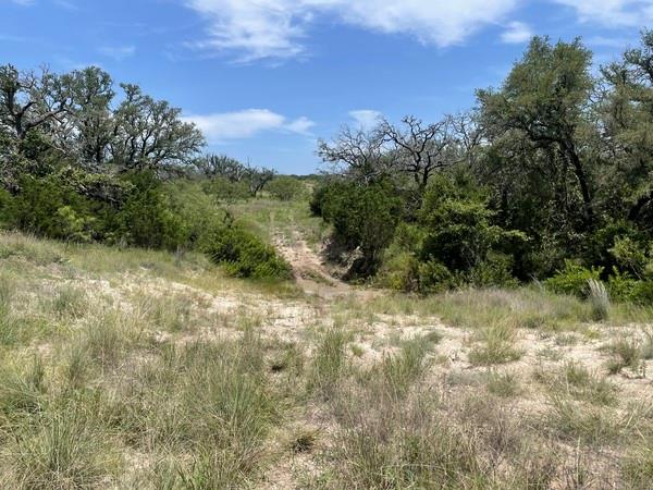 221 W Rolling Oaks Dr, Goldthwaite, TX 76844
