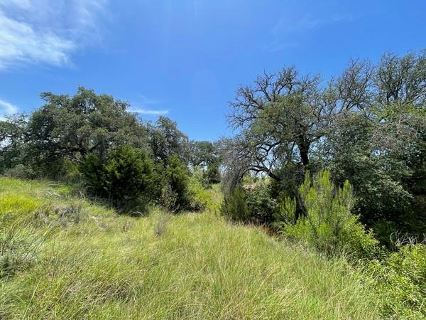 221 W Rolling Oaks Dr, Goldthwaite, TX 76844