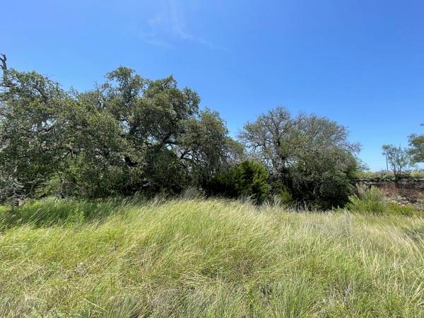 221 W Rolling Oaks Dr, Goldthwaite, TX 76844