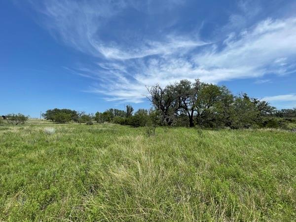 221 W Rolling Oaks Dr, Goldthwaite, TX 76844