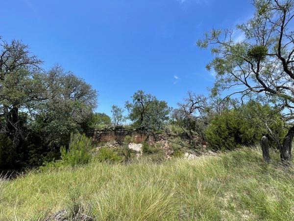 221 W Rolling Oaks Dr, Goldthwaite, TX 76844