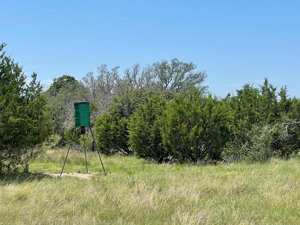 221 W Rolling Oaks Dr, Goldthwaite, TX 76844