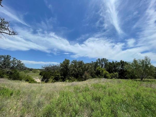 221 W Rolling Oaks Dr, Goldthwaite, TX 76844