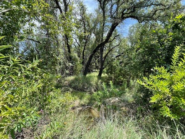 221 W Rolling Oaks Dr, Goldthwaite, TX 76844