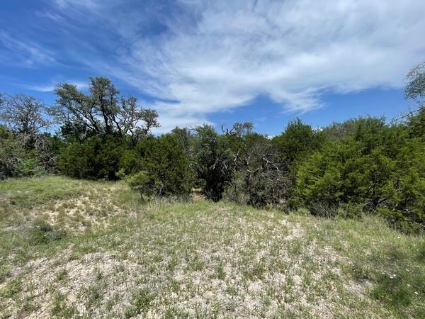 221 W Rolling Oaks Dr, Goldthwaite, TX 76844