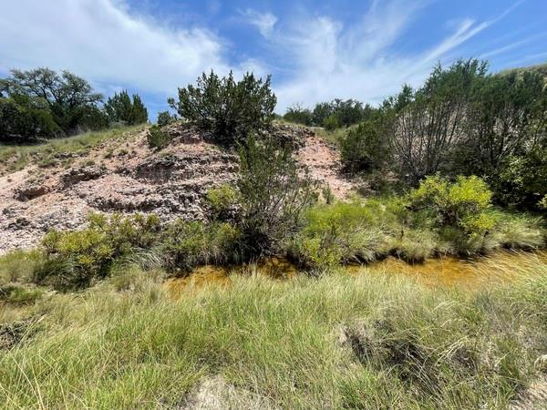 221 W Rolling Oaks Dr, Goldthwaite, TX 76844