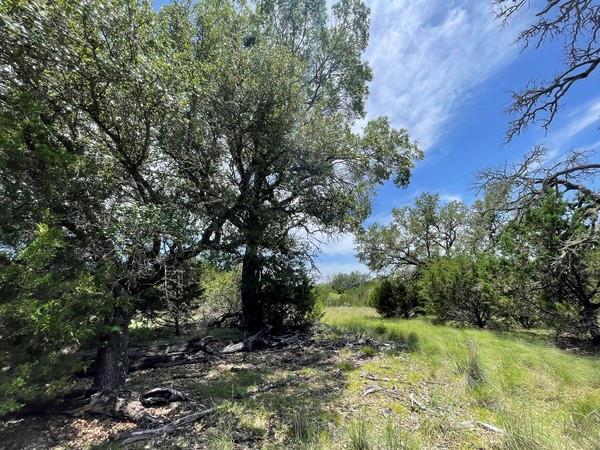 221 W Rolling Oaks Dr, Goldthwaite, TX 76844