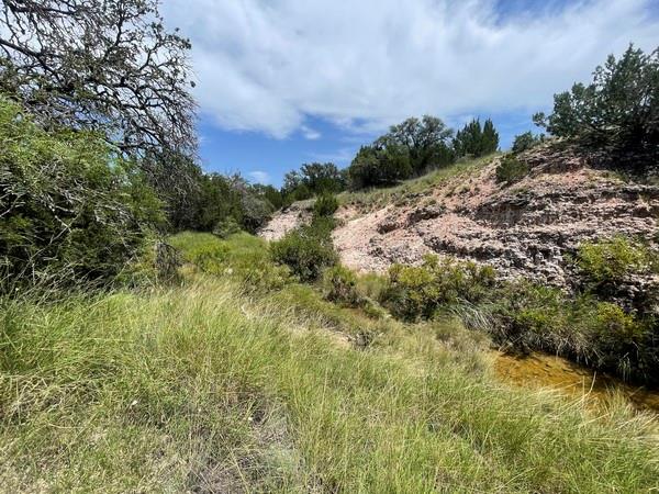 221 W Rolling Oaks Dr, Goldthwaite, TX 76844