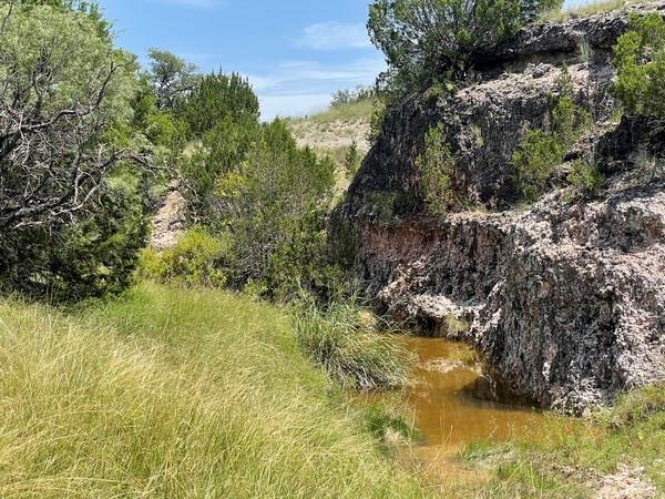 221 W Rolling Oaks Dr, Goldthwaite, TX 76844