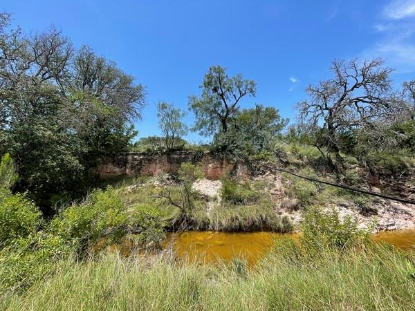 221 W Rolling Oaks Dr, Goldthwaite, TX 76844