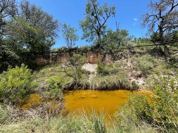 221 W Rolling Oaks Dr, Goldthwaite, TX 76844