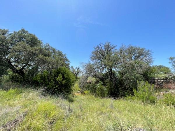 221 W Rolling Oaks Dr, Goldthwaite, TX 76844