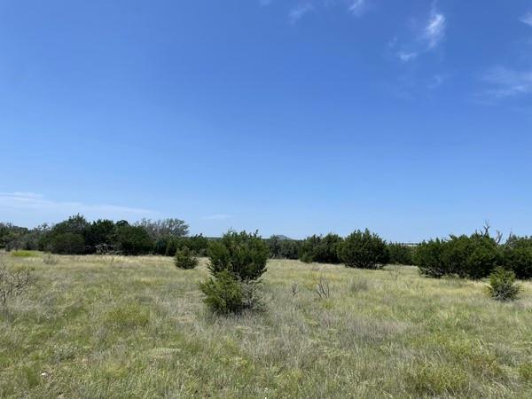 221 W Rolling Oaks Dr, Goldthwaite, TX 76844