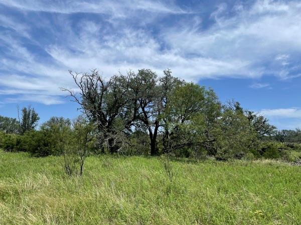 221 W Rolling Oaks Dr, Goldthwaite, TX 76844