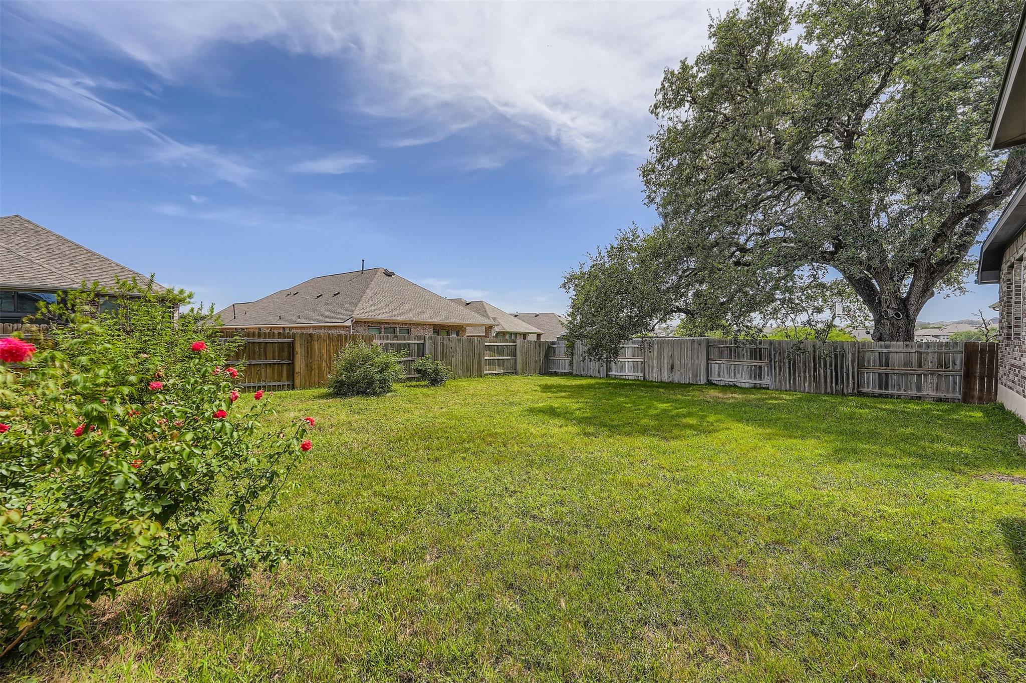 121 Frogfruit Way, San Marcos, TX 78666