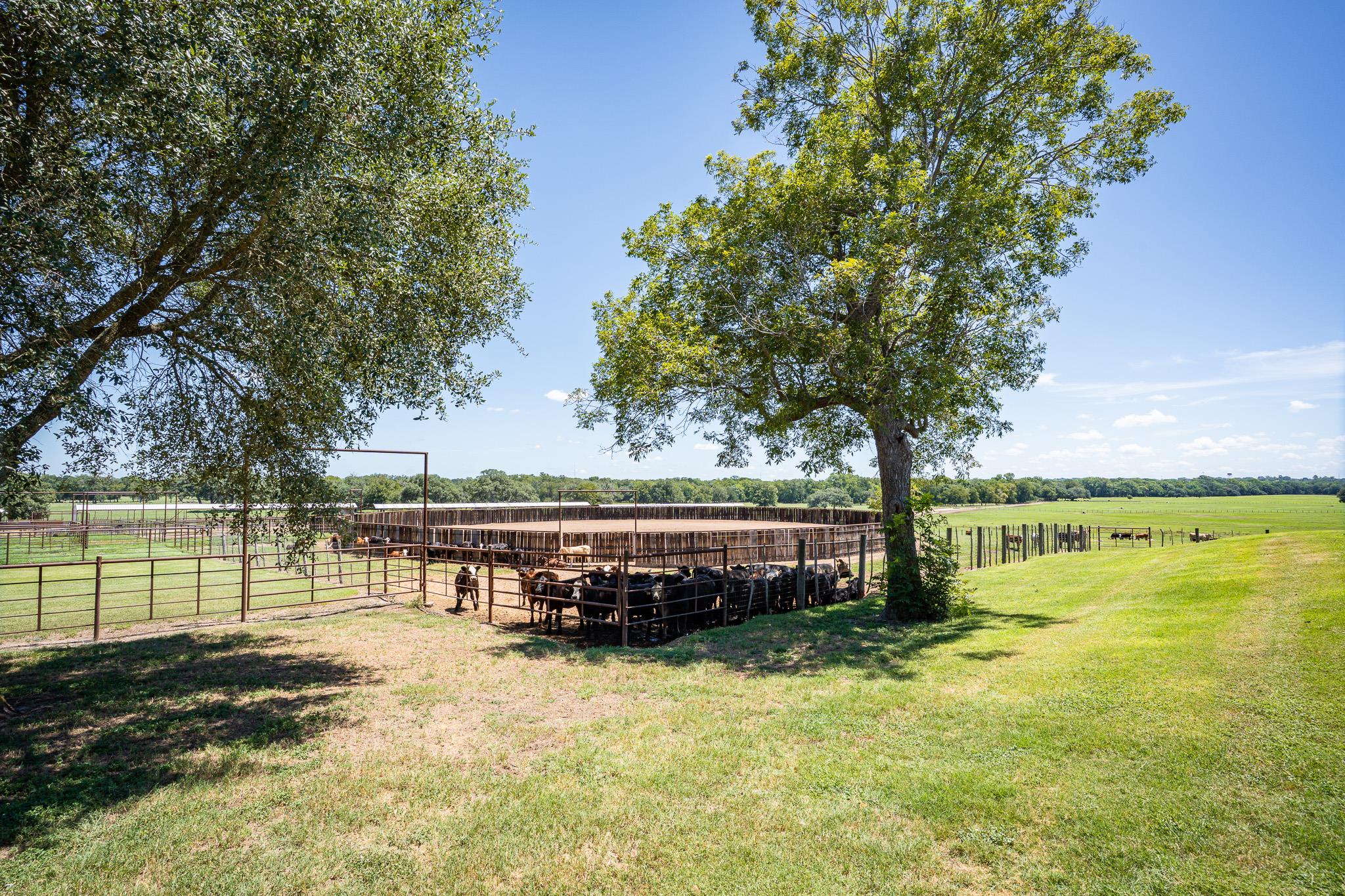 1119 Wolters Rd, Schulenburg, TX 78956