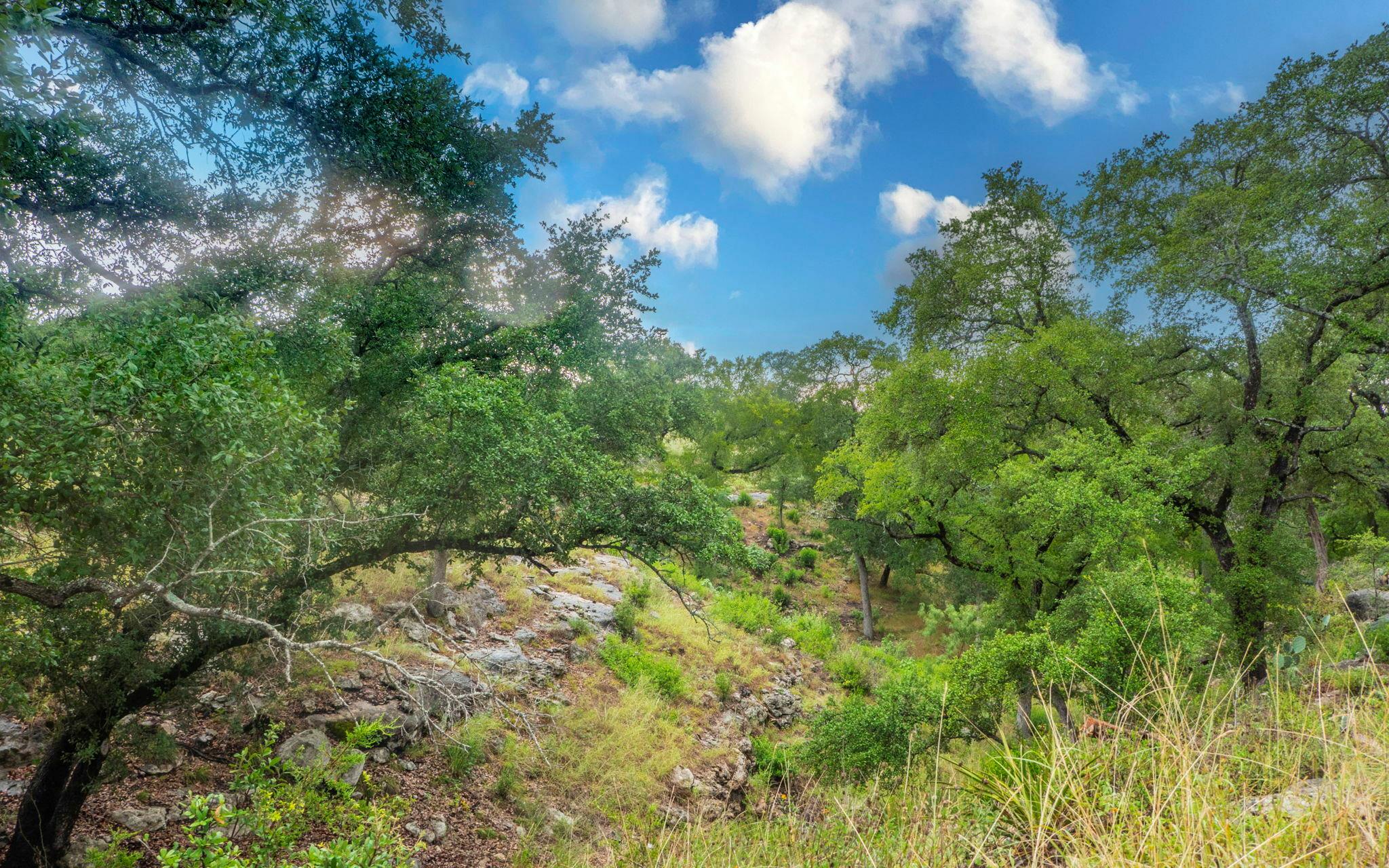 123 Vicinity Trl, Spicewood, TX 78669