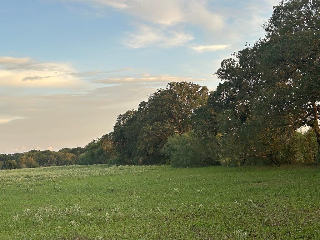 9590 Maynard Hallmark Rd, Flatonia, TX 78941