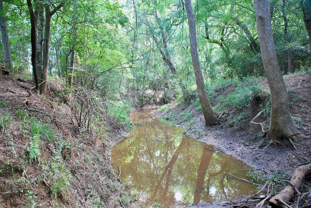 9590 Maynard Hallmark Rd, Flatonia, TX 78941