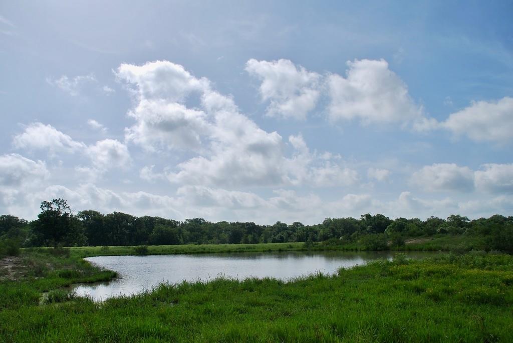 9590 Maynard Hallmark Rd, Flatonia, TX 78941