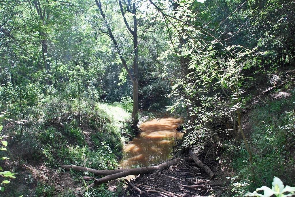 9590 Maynard Hallmark Rd, Flatonia, TX 78941