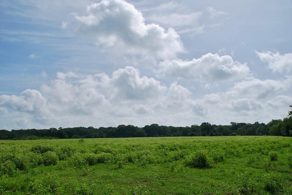 9590 Maynard Hallmark Rd, Flatonia, TX 78941