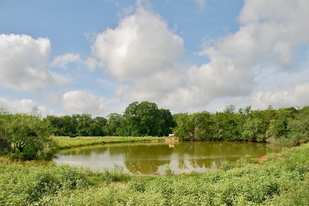 9590 Maynard Hallmark Rd, Flatonia, TX 78941