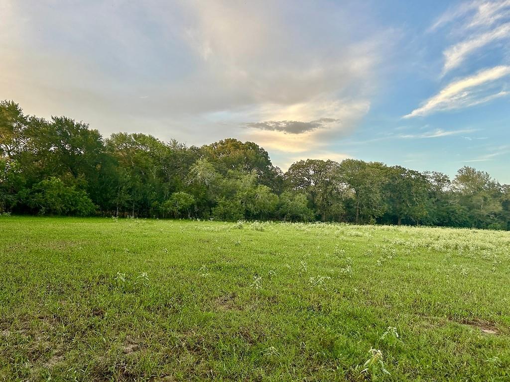 9590 Maynard Hallmark Rd, Flatonia, TX 78941