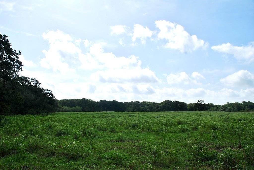 9590 Maynard Hallmark Rd, Flatonia, TX 78941