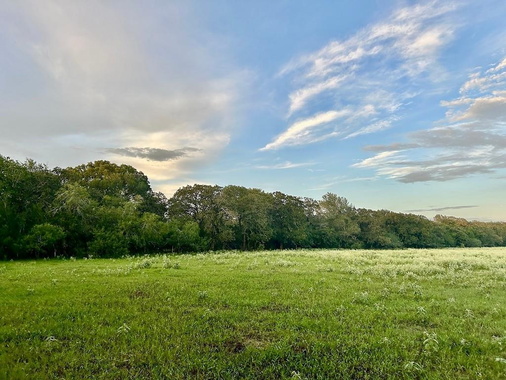 9590 Maynard Hallmark Rd, Flatonia, TX 78941