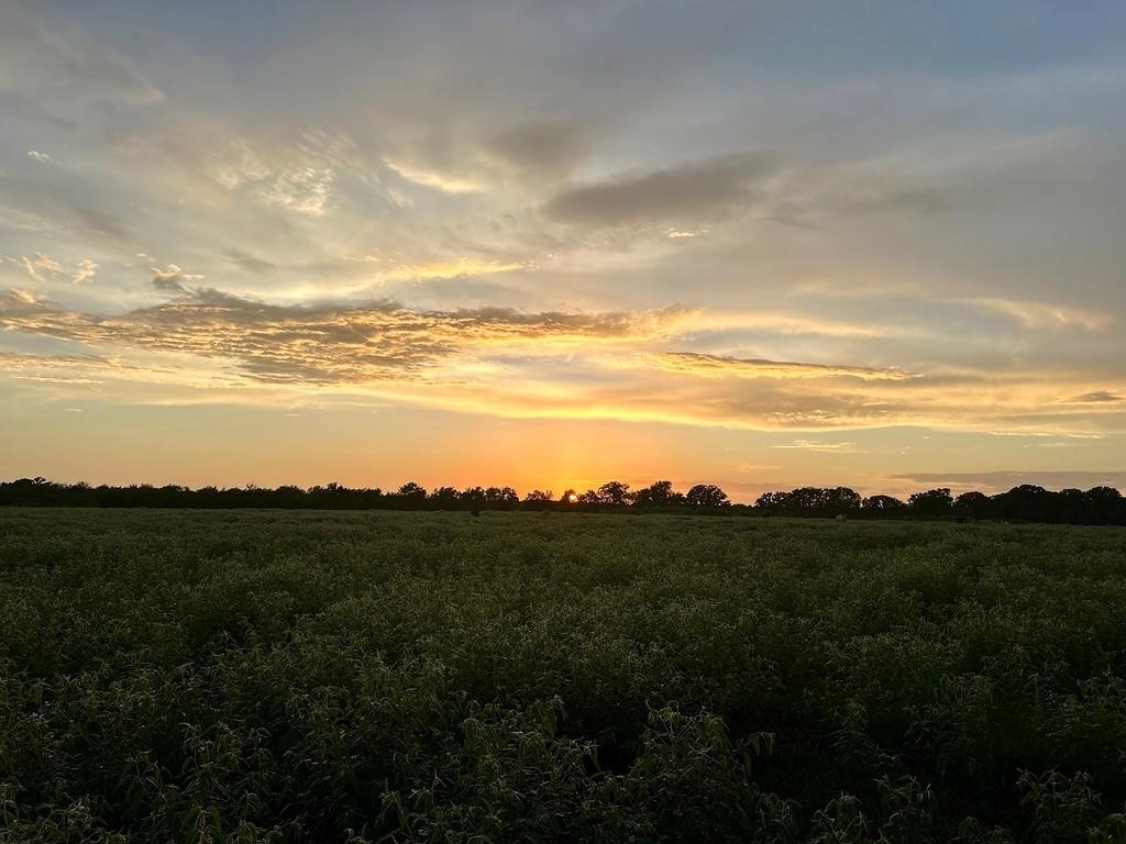 9590 Maynard Hallmark Rd, Flatonia, TX 78941