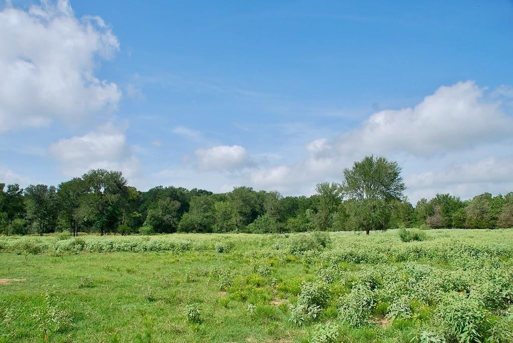 9590 Maynard Hallmark Rd, Flatonia, TX 78941