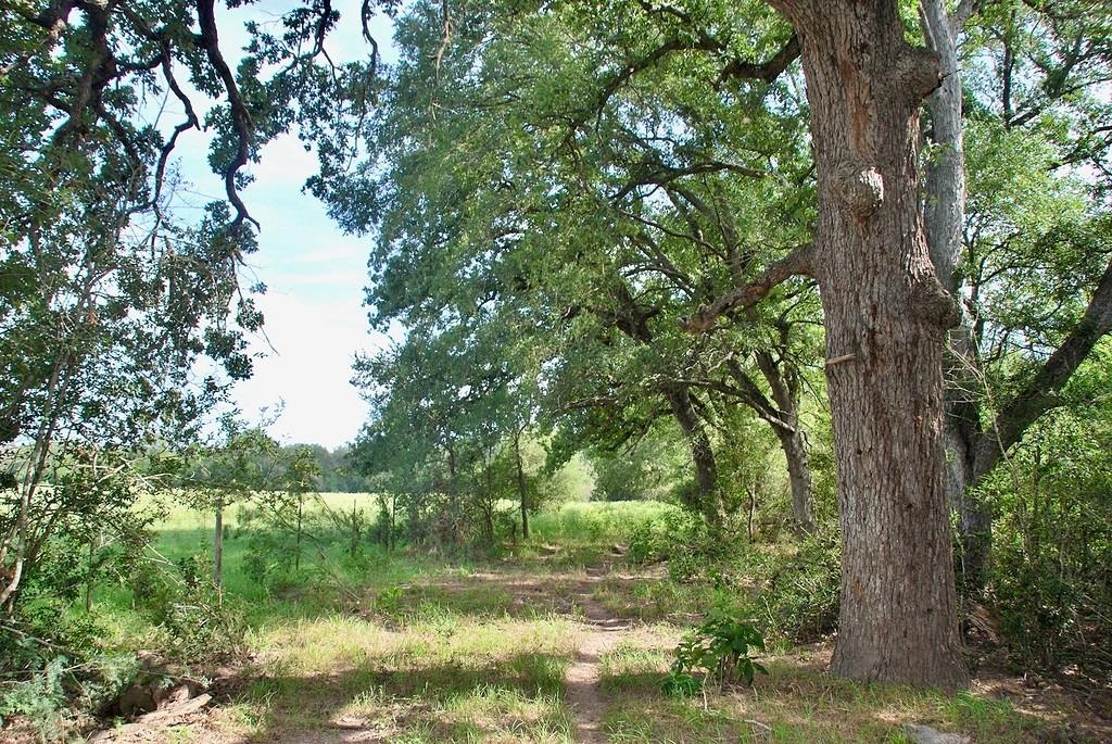 9590 Maynard Hallmark Rd, Flatonia, TX 78941